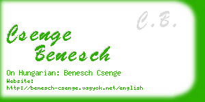 csenge benesch business card